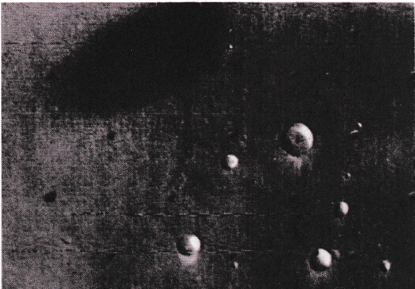 Obraz zawierający Czarno-biała fotografia, monochromatyzm, czarne i białe, pęcherz/bańka

Opis wygenerowany automatycznie