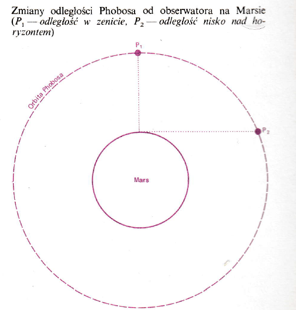 Obraz zawierający krąg, tekst, diagram

Opis wygenerowany automatycznie